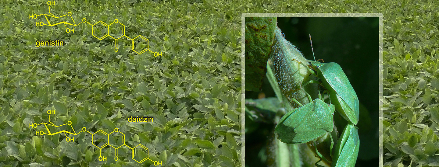 Biotic interactions in agriculture