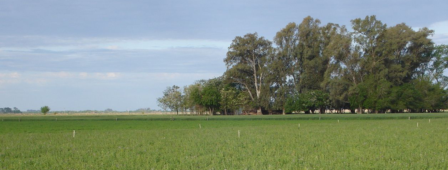 Soil fertility and plant mineral nutrition